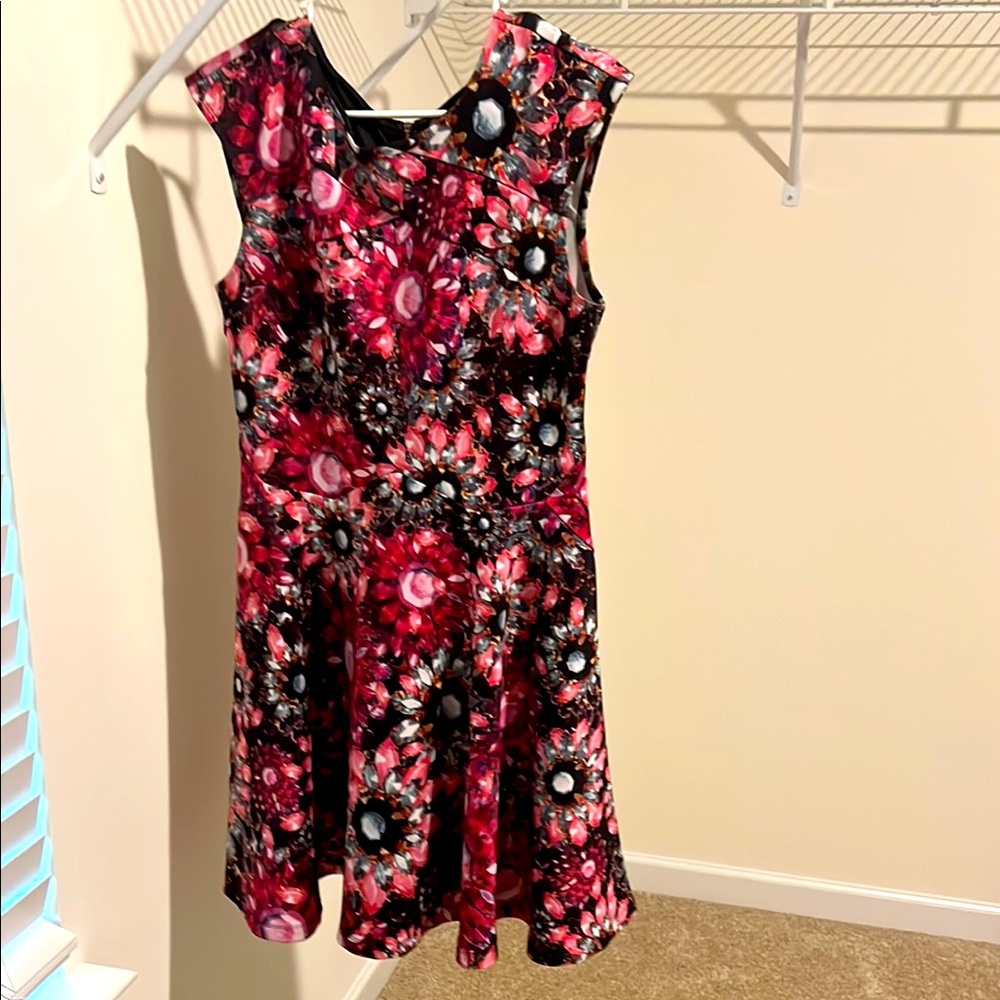 Red and Pink Sleeveless Fit and Flare Dress